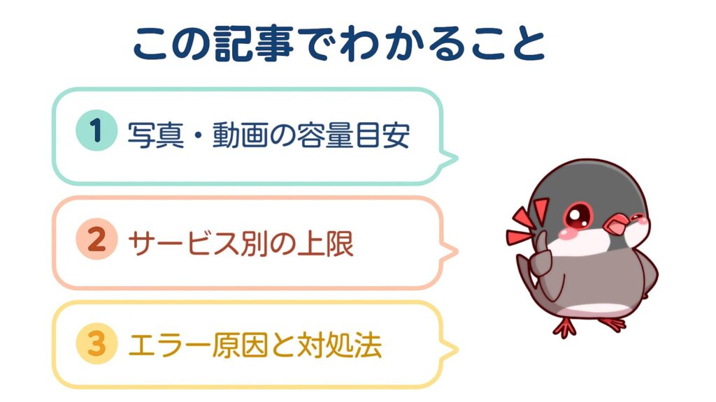 この記事でわかること
①写真・動画の容量目安
②サービス別の上限
③エラー原因と対処法